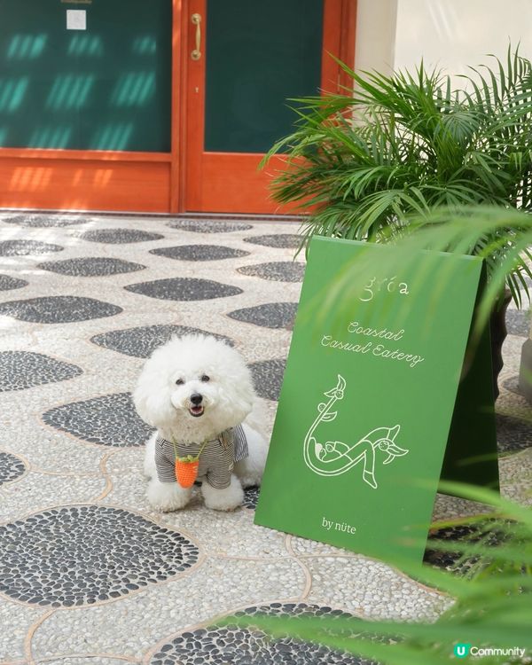 淺水灣隱世好去處 素食友善多國菜 歡迎寵物