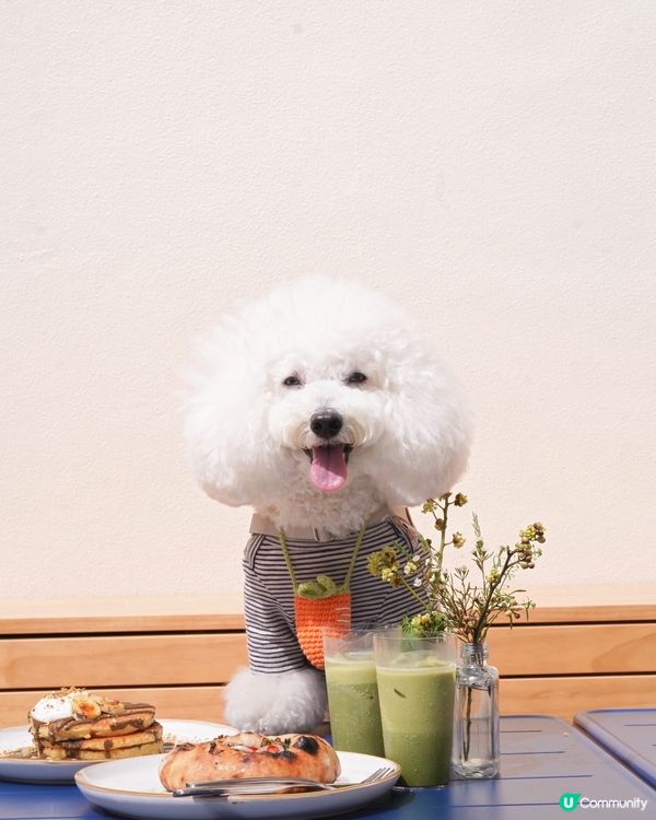 淺水灣隱世好去處 素食友善多國菜 歡迎寵物