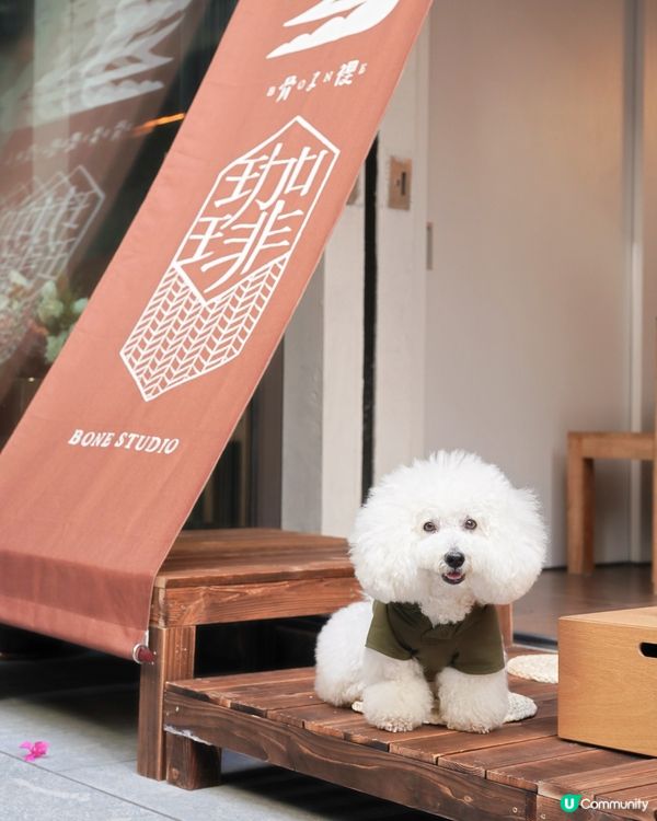 Bone Studio 返嚟啦