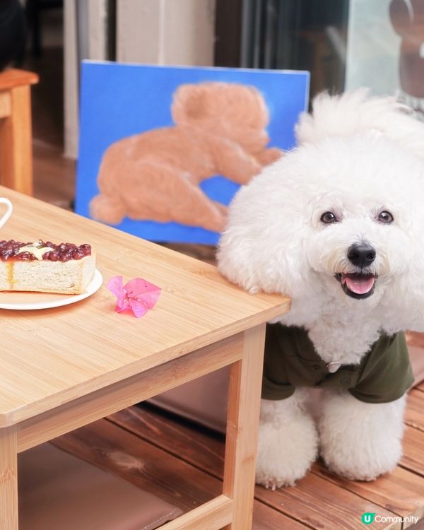 Bone Studio 返嚟啦