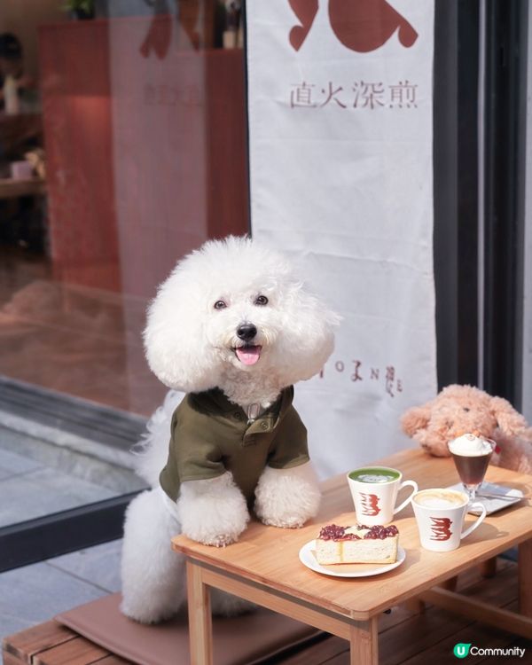 Bone Studio 返嚟啦