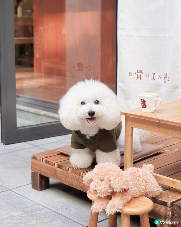 Bone Studio 返嚟啦