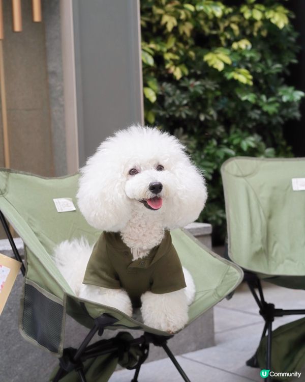 Bone Studio 返嚟啦