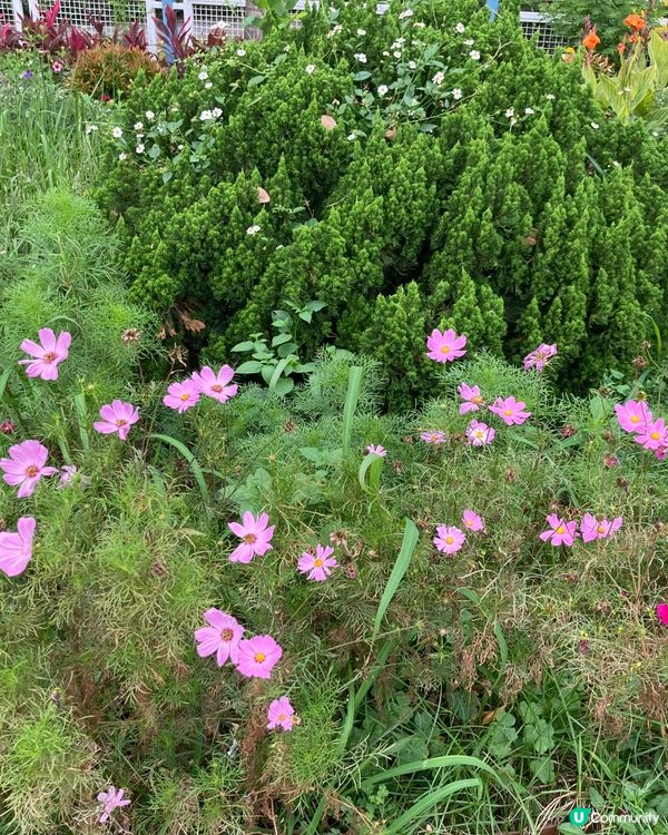 元朗宗教特色的建築 