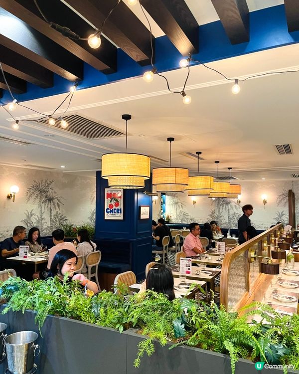 沙田新城市廣場法餐打卡📸