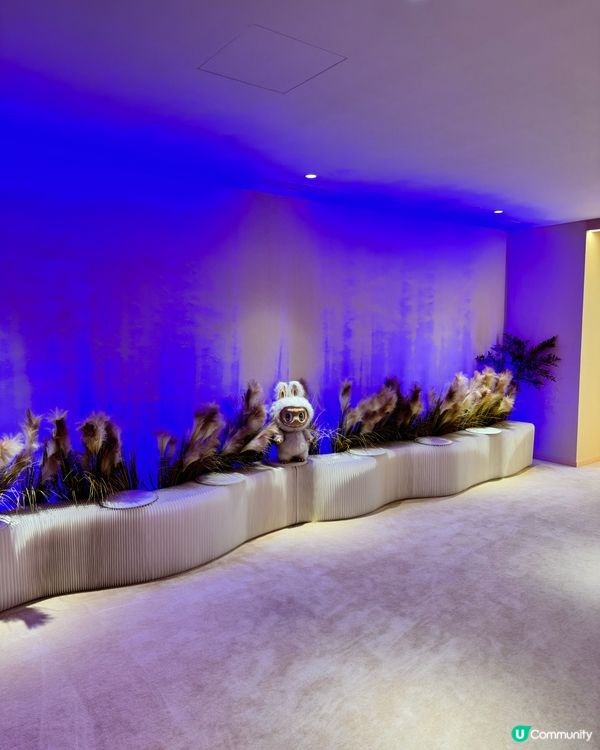 逆齡肌神器🤫  一試愛上🥰