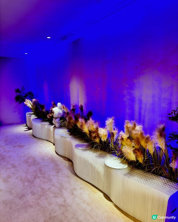 逆齡肌神器🤫  一試愛上🥰