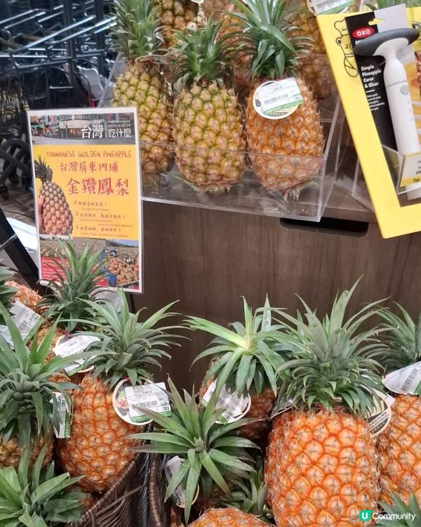 歡迎關注我嘅戶口､訂閱我嘅YouTube頻道, follow...