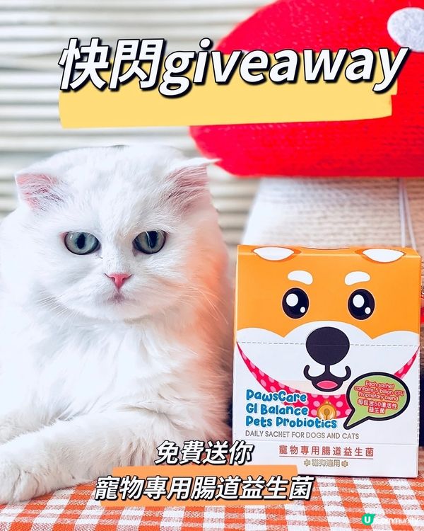🎊🎊🎊🎊快閃Giveaway🎊🎊🎊