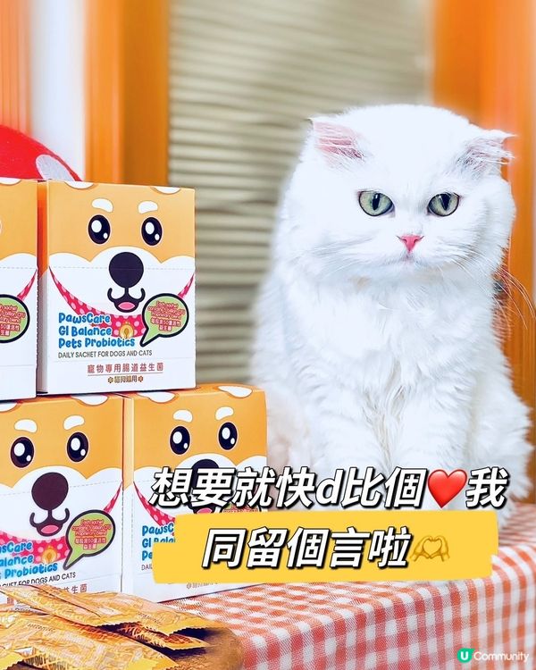 🎊🎊🎊🎊快閃Giveaway🎊🎊🎊