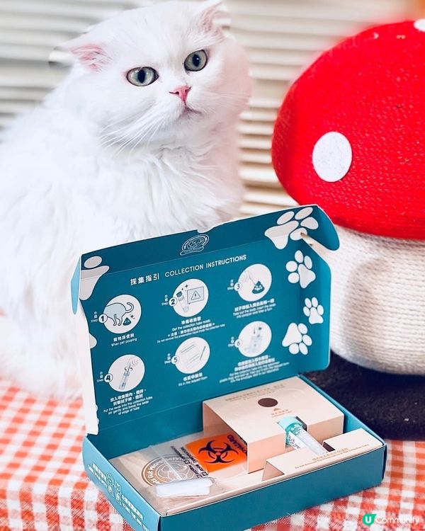 🎊🎊🎊🎊快閃Giveaway🎊🎊🎊