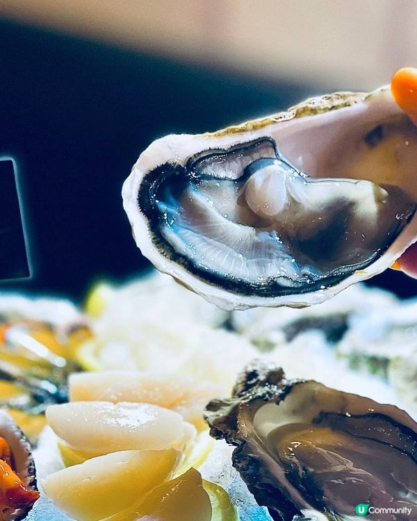  大推‼️絕對唔容許鍾意食蠔既你唔識梨呢度😋