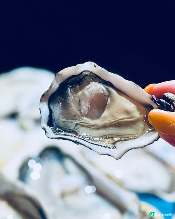  大推‼️絕對唔容許鍾意食蠔既你唔識梨呢度😋