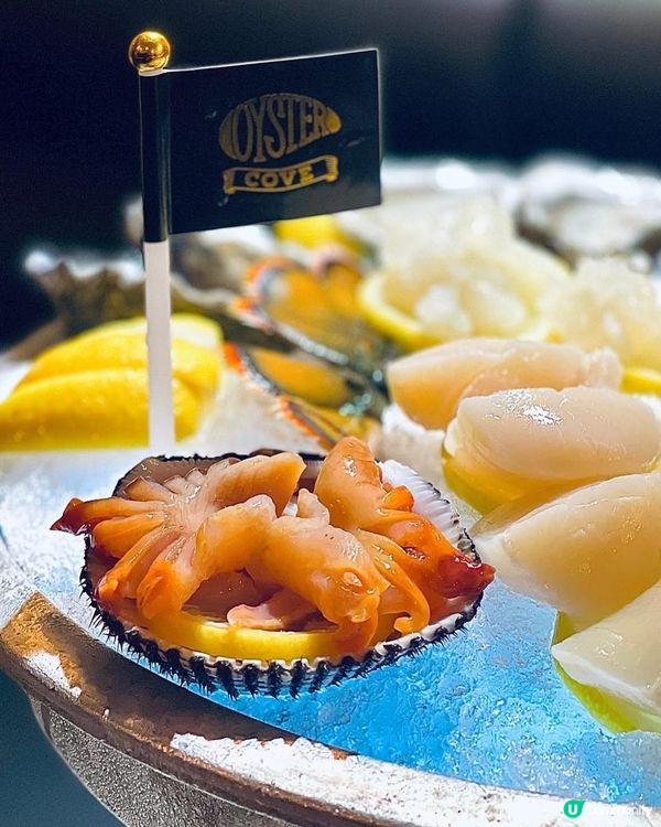  大推‼️絕對唔容許鍾意食蠔既你唔識梨呢度😋