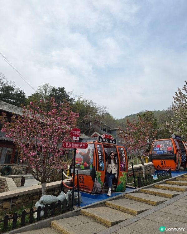 慕田峪長城一日遊⛰️  人生必去景點！