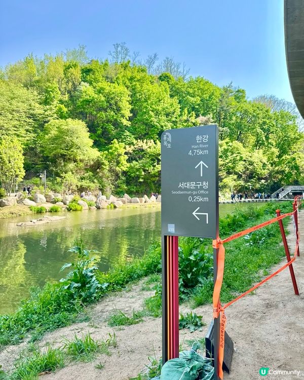 🇰🇷韓國週末遊「首爾罕有可以睇瀑布嘅地方」📍弘濟川