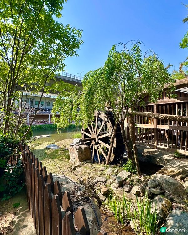 🇰🇷韓國週末遊「首爾罕有可以睇瀑布嘅地方」📍弘濟川