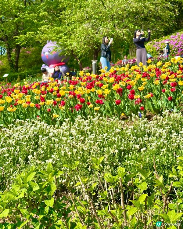 🇰🇷韓國首爾超靚夢幻花海打卡天堂🌺🌷🌸💐🌹延禧森林休息處