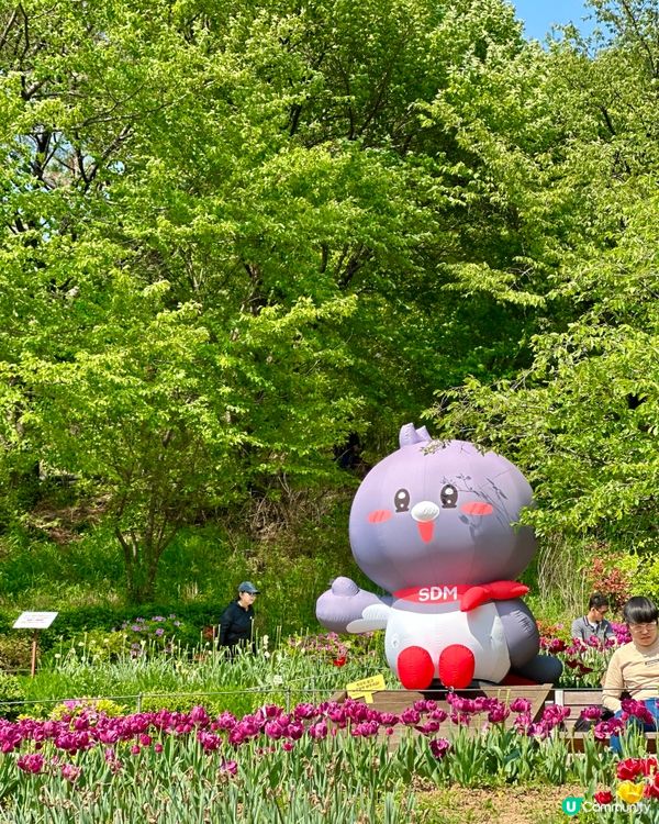 🇰🇷韓國首爾超靚夢幻花海打卡天堂🌺🌷🌸💐🌹延禧森林休息處