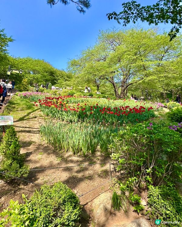 🇰🇷韓國首爾超靚夢幻花海打卡天堂🌺🌷🌸💐🌹延禧森林休息處