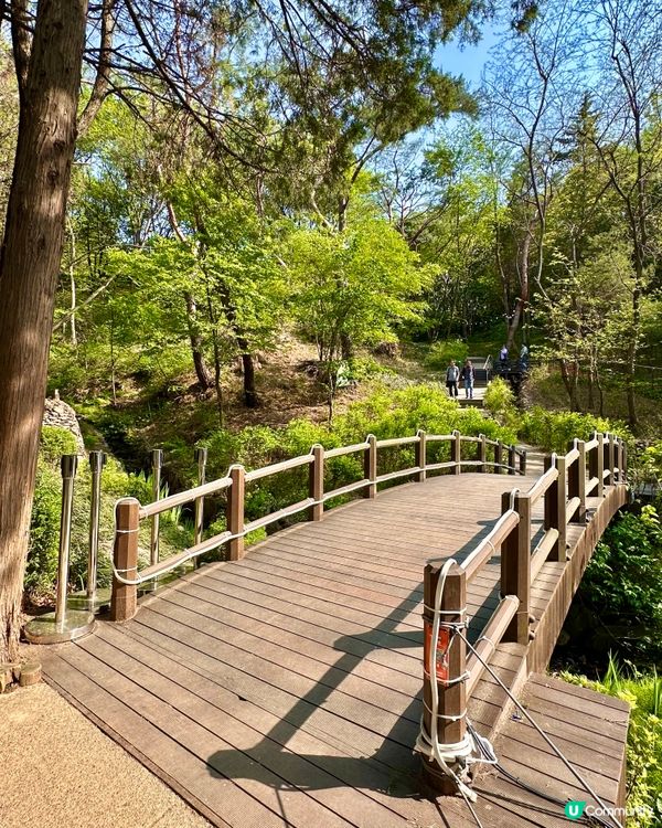 🇰🇷韓國首爾超靚夢幻花海打卡天堂🌺🌷🌸💐🌹延禧森林休息處