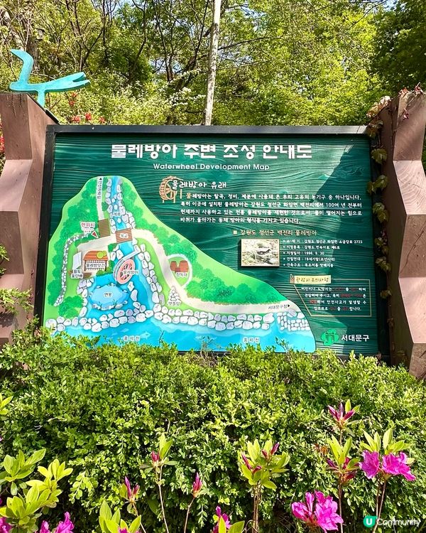 🇰🇷韓國首爾超靚夢幻花海打卡天堂🌺🌷🌸💐🌹延禧森林休息處