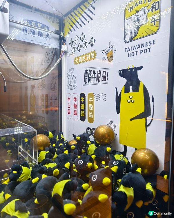 銅鑼灣新開台式火鍋店，任食日本宮崎A5和牛