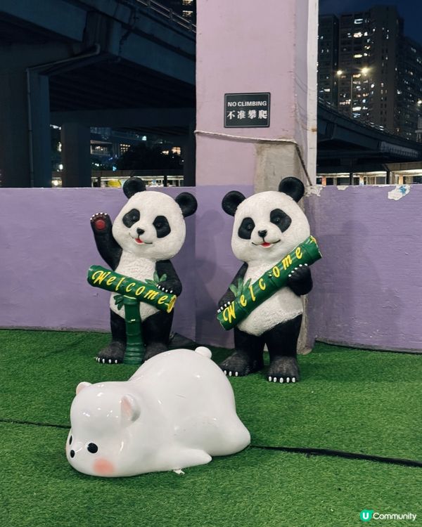 【⛴️洋紫荊維港遊體驗之夜🌊 ✨】