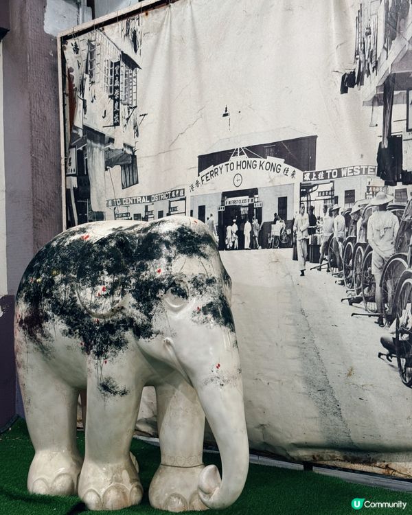 【⛴️洋紫荊維港遊體驗之夜🌊 ✨】