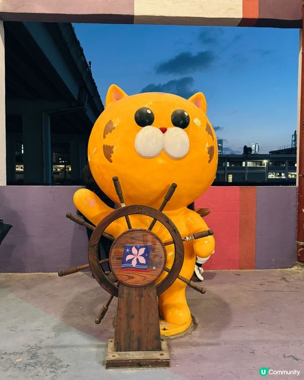 【⛴️洋紫荊維港遊體驗之夜🌊 ✨】