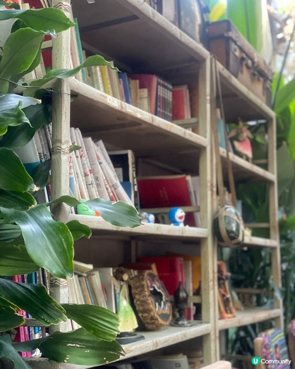 在綠植環繞中品味地道雲南！