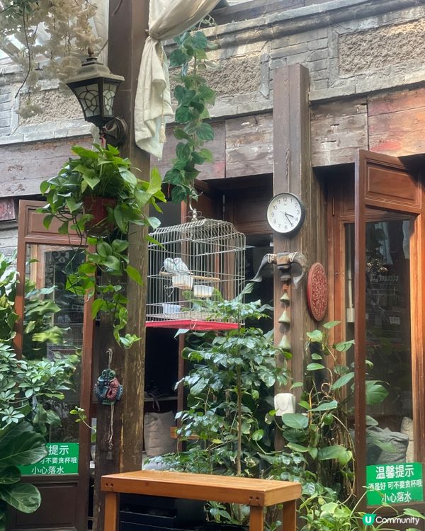 在綠植環繞中品味地道雲南！