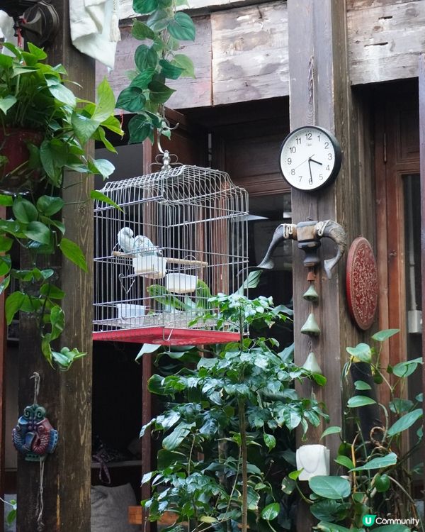 在綠植環繞中品味地道雲南！