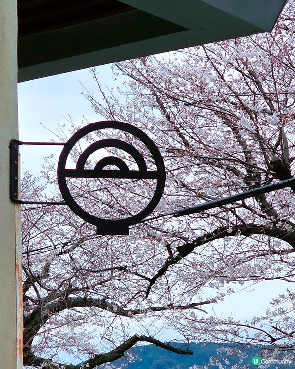 京都鴨川🌸隱世賞櫻小店 🍙