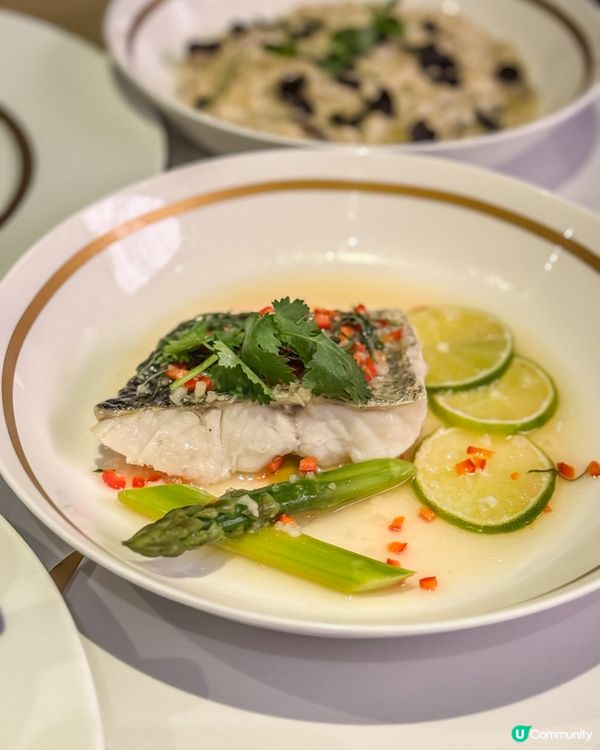 🏛️美利酒店𝘎𝘢𝘳𝘥𝘦𝘯 𝘓𝘰𝘶𝘯𝘨𝘦˚ ༘ 海鮮半自助晚餐🦞