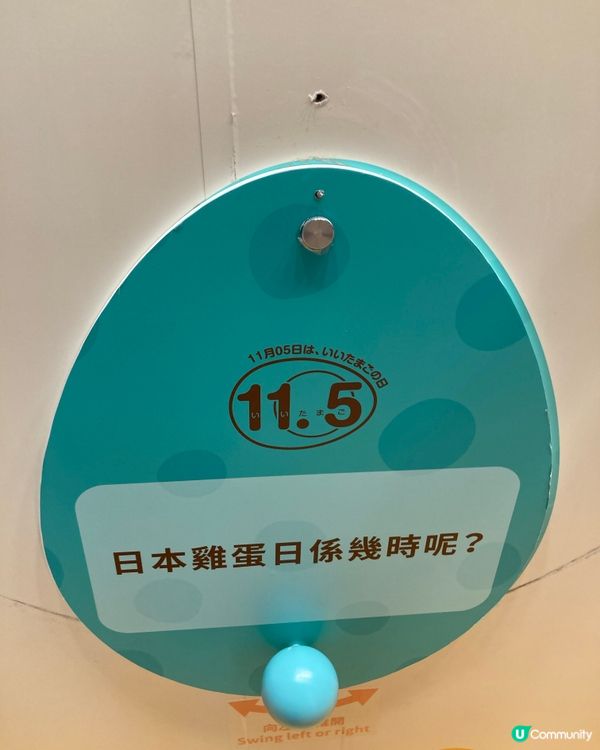 雞蛋的展覽在荃灣