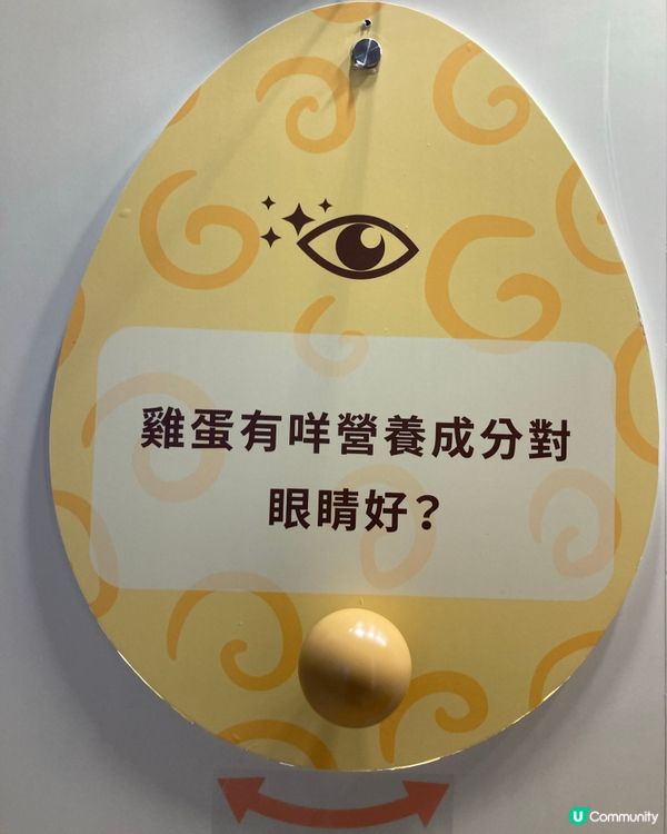 雞蛋的展覽在荃灣