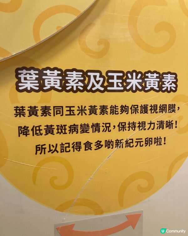 雞蛋的展覽在荃灣