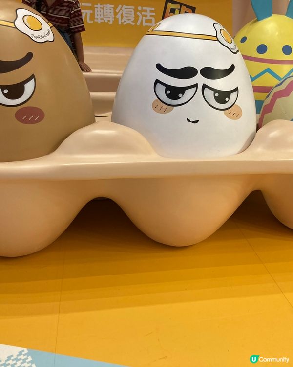 雞蛋的展覽在荃灣