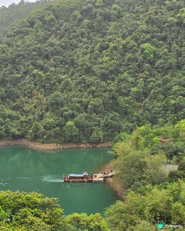 🌿 肇慶鼎湖山：綠色逃亡秘境！🌄