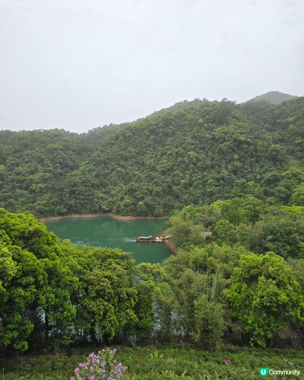 🌿 肇慶鼎湖山：綠色逃亡秘境！🌄
