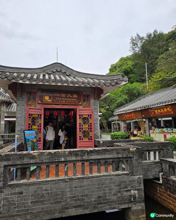 🌿 肇慶鼎湖山：綠色逃亡秘境！🌄