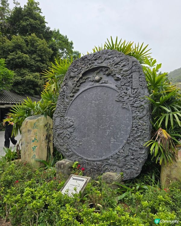 🌿 肇慶鼎湖山：綠色逃亡秘境！🌄