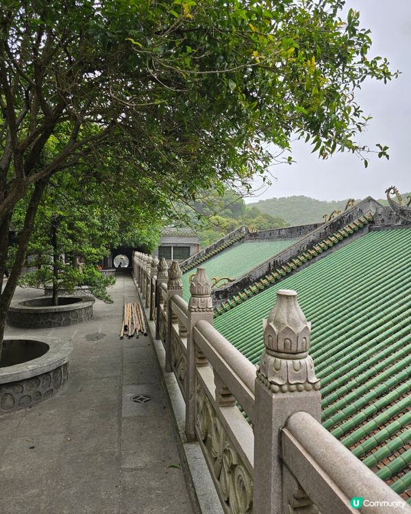 🌿 肇慶鼎湖山：綠色逃亡秘境！🌄