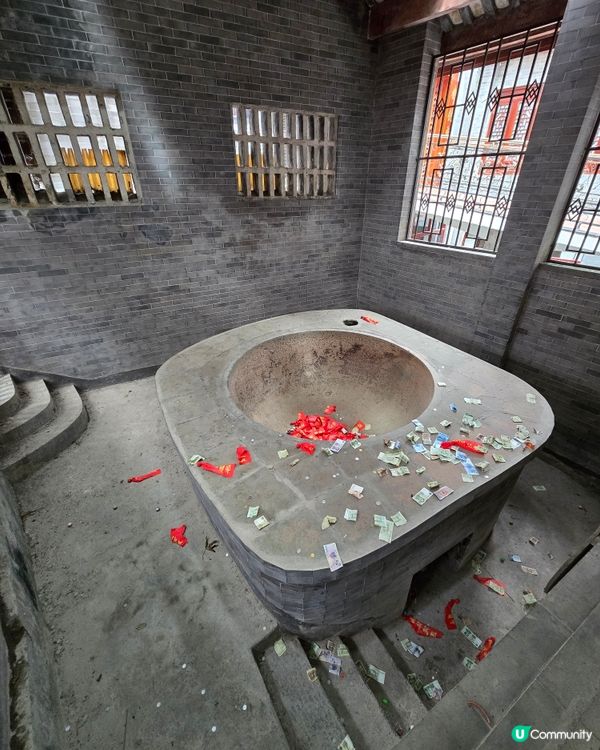 🌿 肇慶鼎湖山：綠色逃亡秘境！🌄