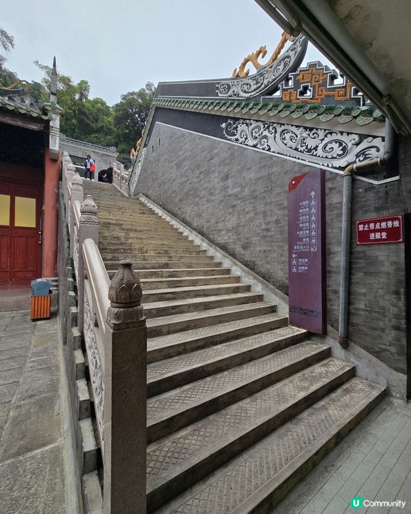 🌿 肇慶鼎湖山：綠色逃亡秘境！🌄