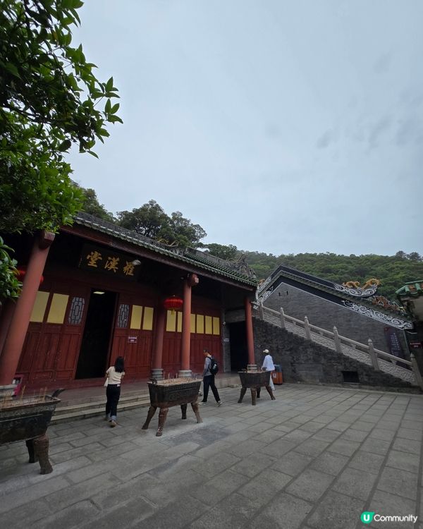 🌿 肇慶鼎湖山：綠色逃亡秘境！🌄