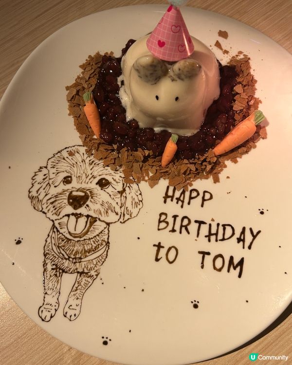 媽媽生日驚喜🎉  哈豆畫碟神似🐶