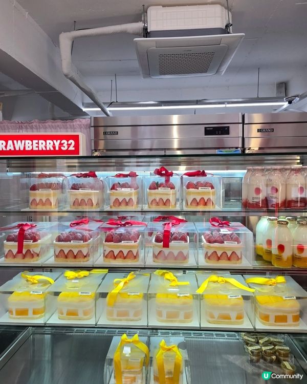 🇰🇷首爾必試！料超足·超新鮮嘅水果動物忌廉蛋糕