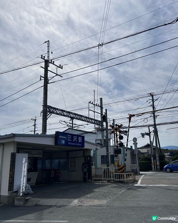福岡近郊 💕 士多啤梨園 🍓 邊摘邊食『甜王』士多啤梨